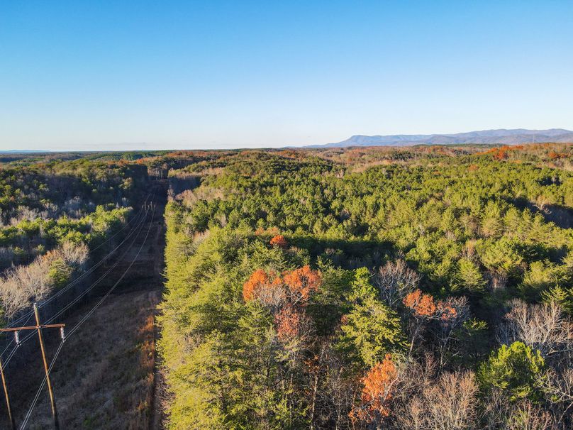 76A82674-ECE0-45C5-B90E-9D2D1FCEF973