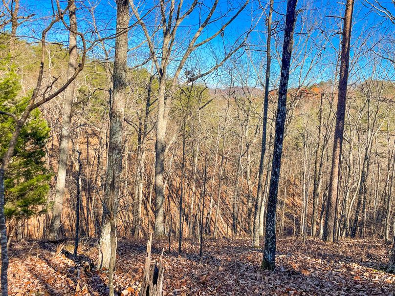 E786C3CC-32DD-4828-B591-273F42A349A1