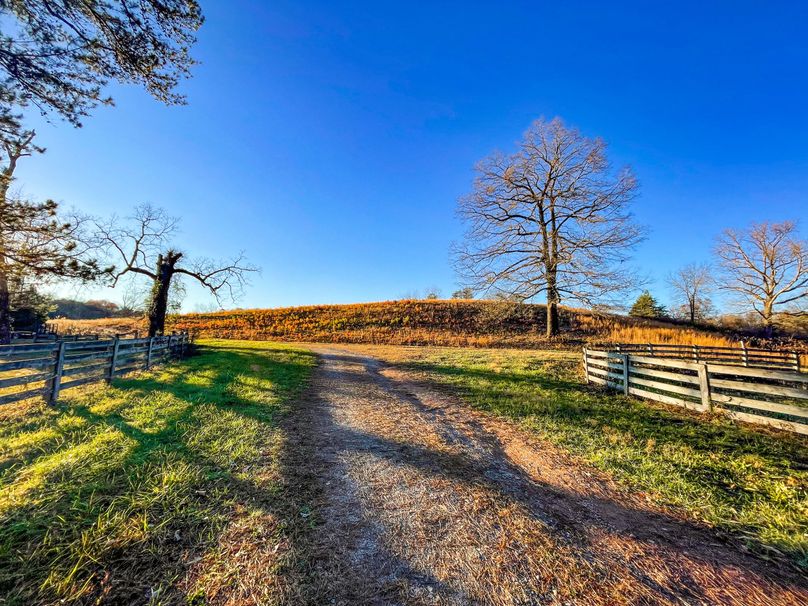 813A51B2-C6A7-43A6-A9A6-AEDDAAEF9AF6