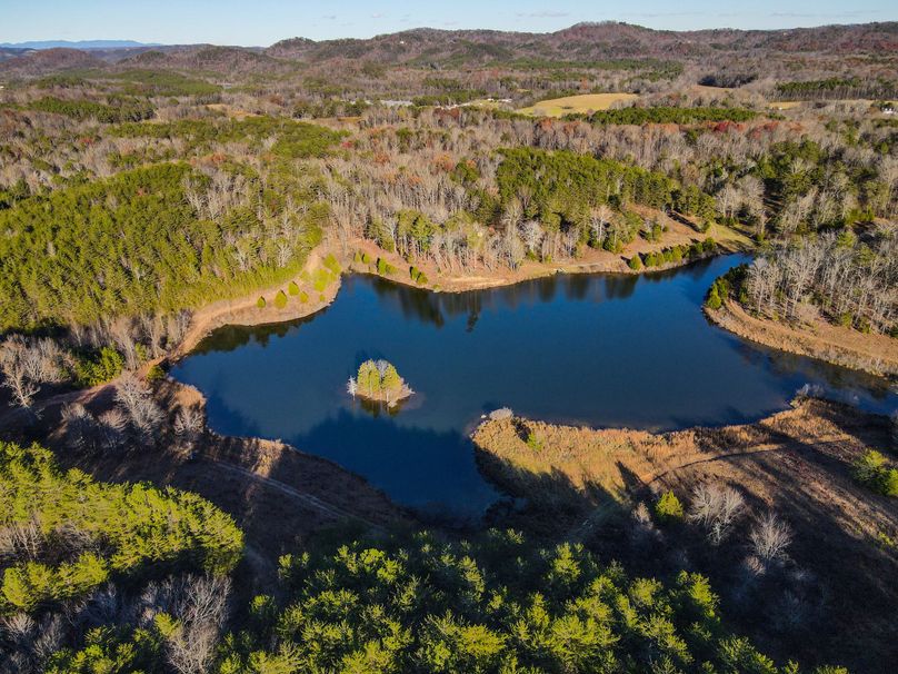 E021356-3EA9-480D-AAEF-28628876E304