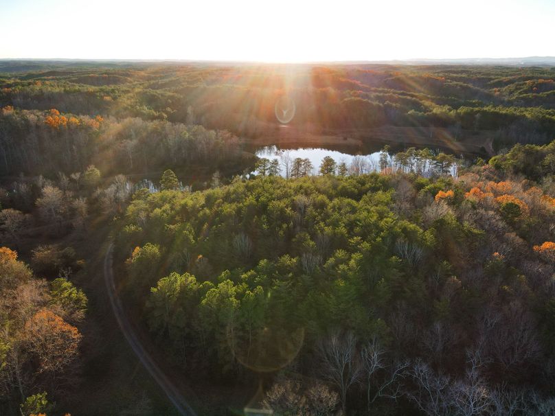 BE87FC95-6554-4700-85D4-BA567DAA8FCF