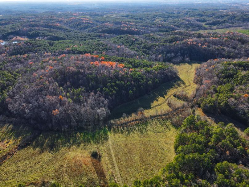 10DC50C0-CF15-4A63-BA82-C7270EE44B2A