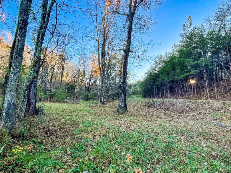 49276977-EF42-4D89-B3C5-3F2C1BE2D6C3