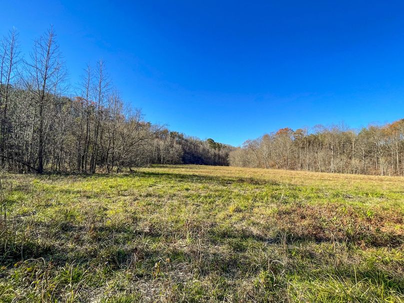 06F8C6D9-76F6-4DB9-B4C3-EA22F1303314