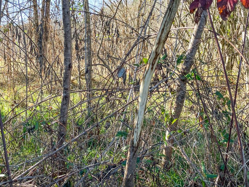 BBFBCE3-BA2F-435A-AA3E-875E0909665F