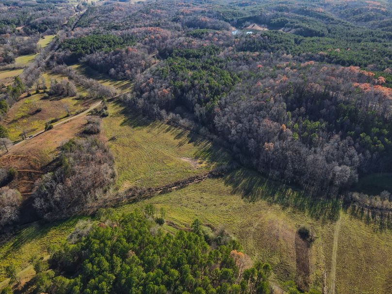 F_2A58C0F5-60C7-4A03-812A-C0B4E3EB34E9