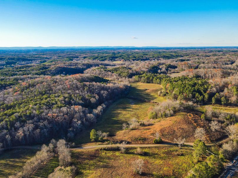 92C798B5-71C5-4F14-963F-924EB9818E9C