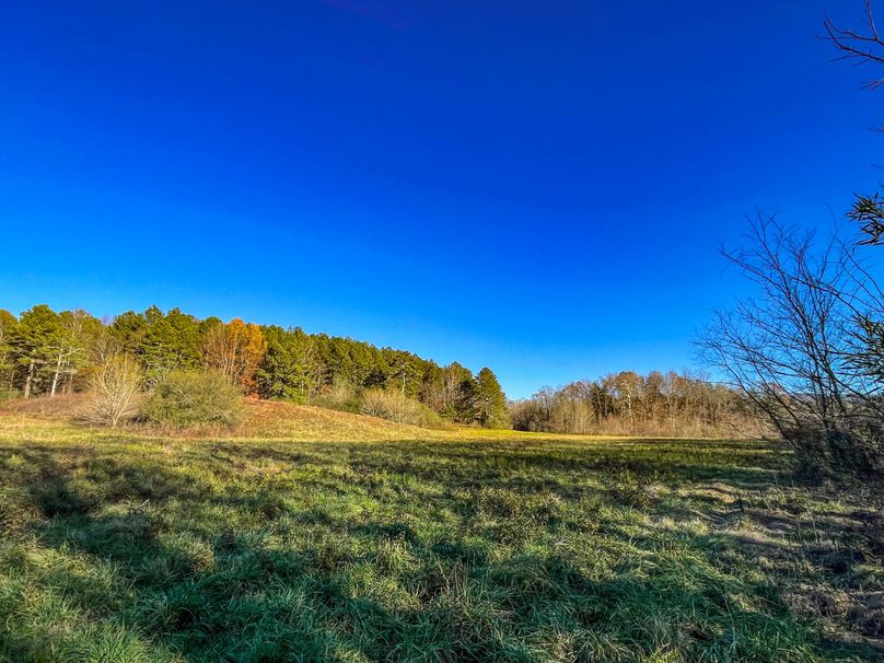 C9D7010C-7FE9-4ABD-BECE-6C663D0A6E0B