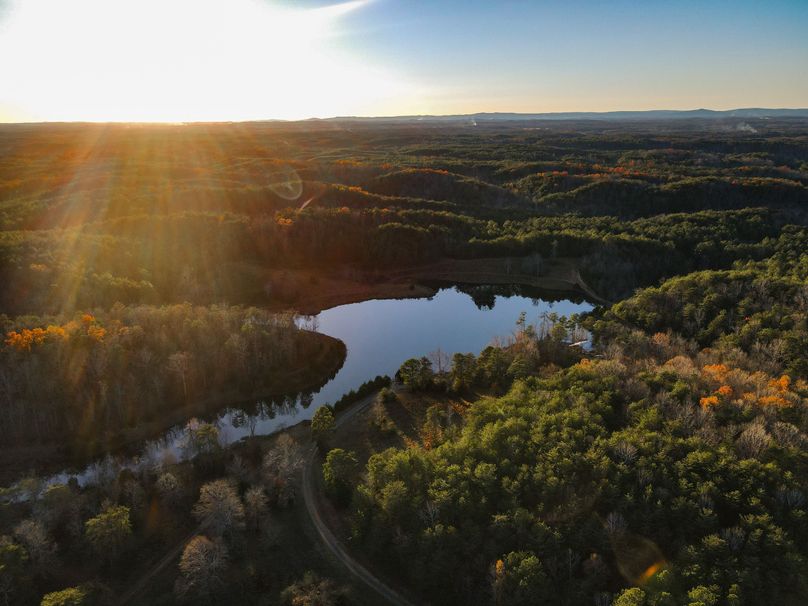 E2CA4A-7DFC-453C-8A8F-1E4F6DFF4CB3