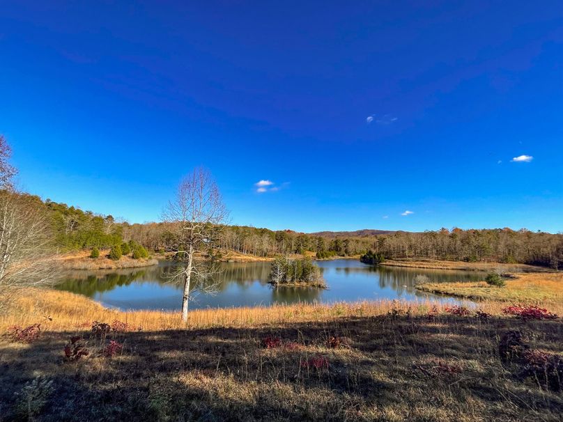 B66973A4-DAA1-4698-94C3-767F4B823C51