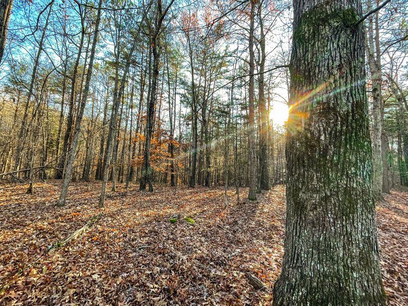 7009138C-3A5D-4847-89B5-3020B3C95C7B