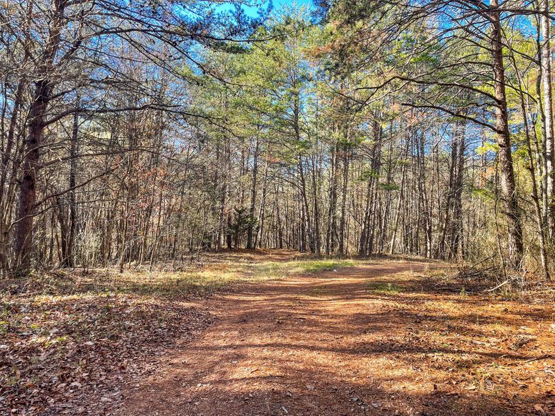 37BB9513-0A38-46AE-A143-3A30E8667037