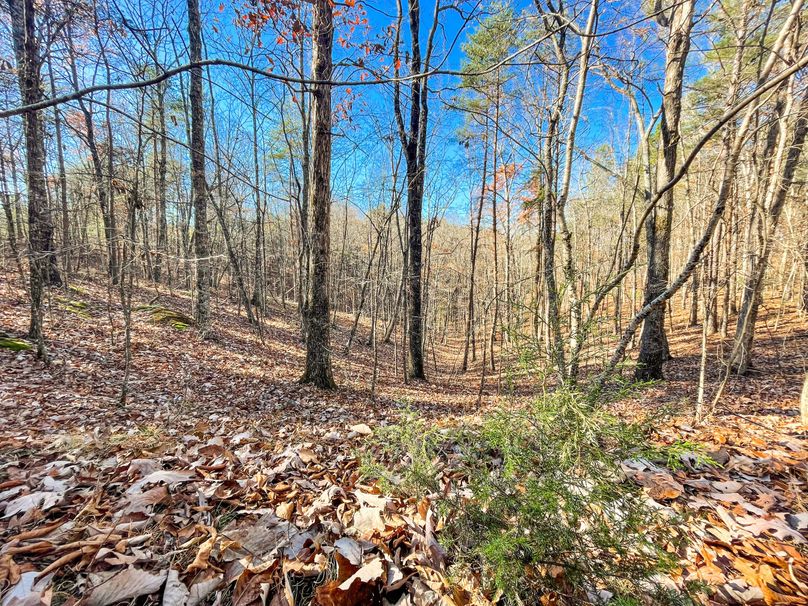 FFACE4E8-36B2-4DC4-BFD2-53E4A87BCDA8