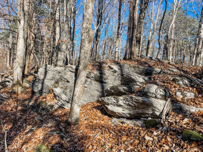 72994423-D4FE-4F4D-A5EB-C0B3561C68B1