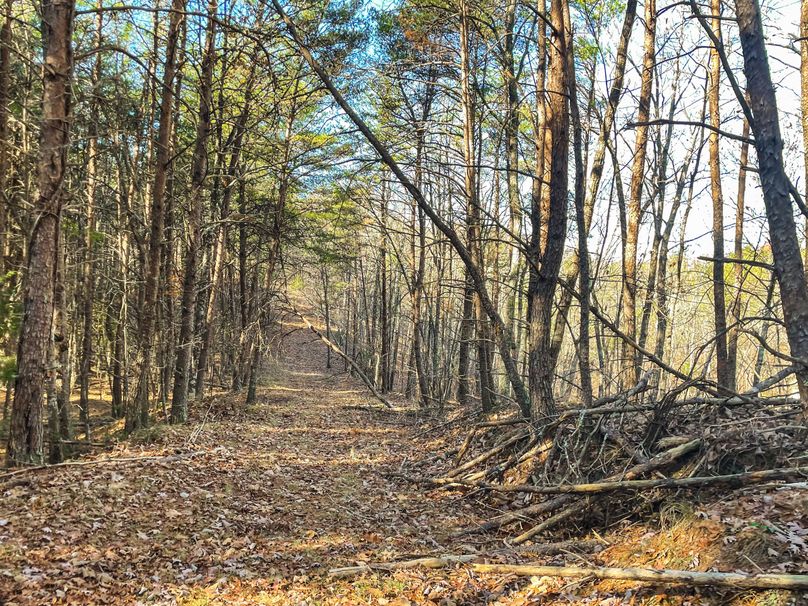 68F94ECB-2B19-4A2D-86E1-EF2224E6E9A2