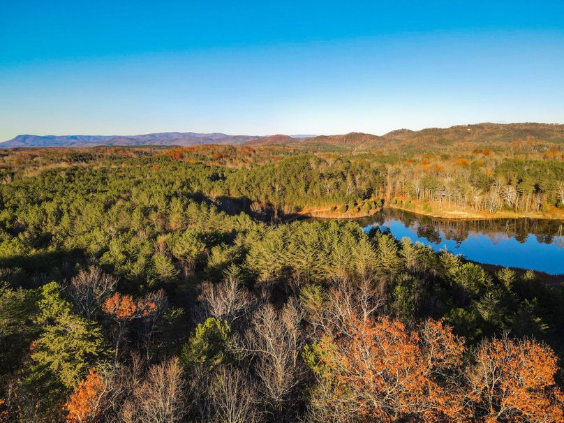 E1898EE4-9D48-44AA-82E2-A682A9F5A5CA