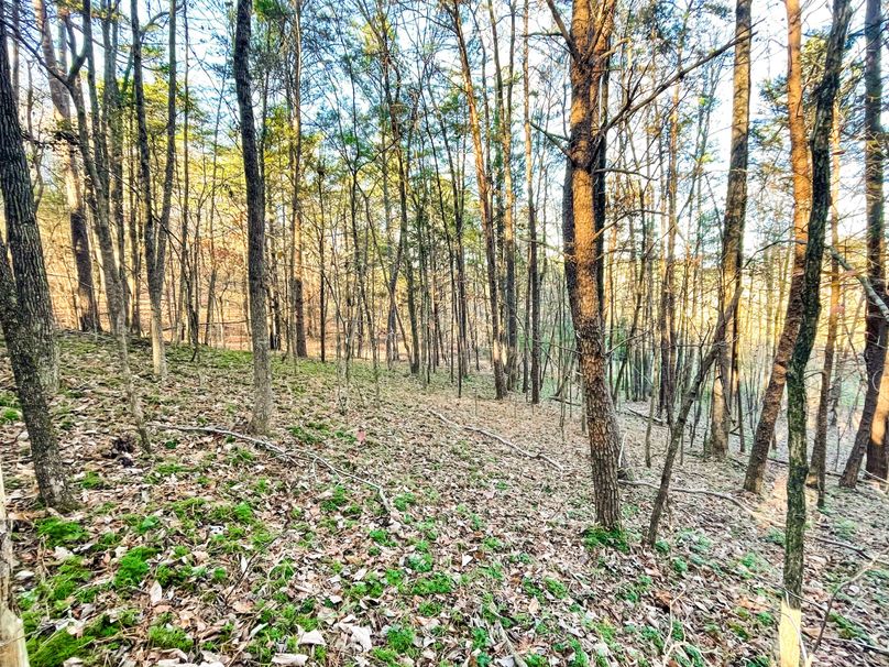 98A12336-FBFB-4845-8F1A-22DAF16DEEF7