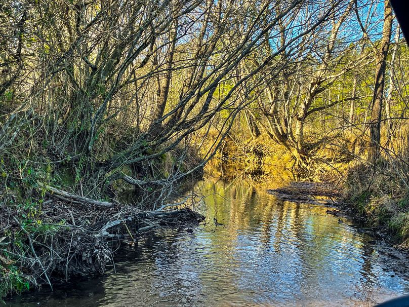 58990760-37E2-4614-ADEA-14A9C7B98427