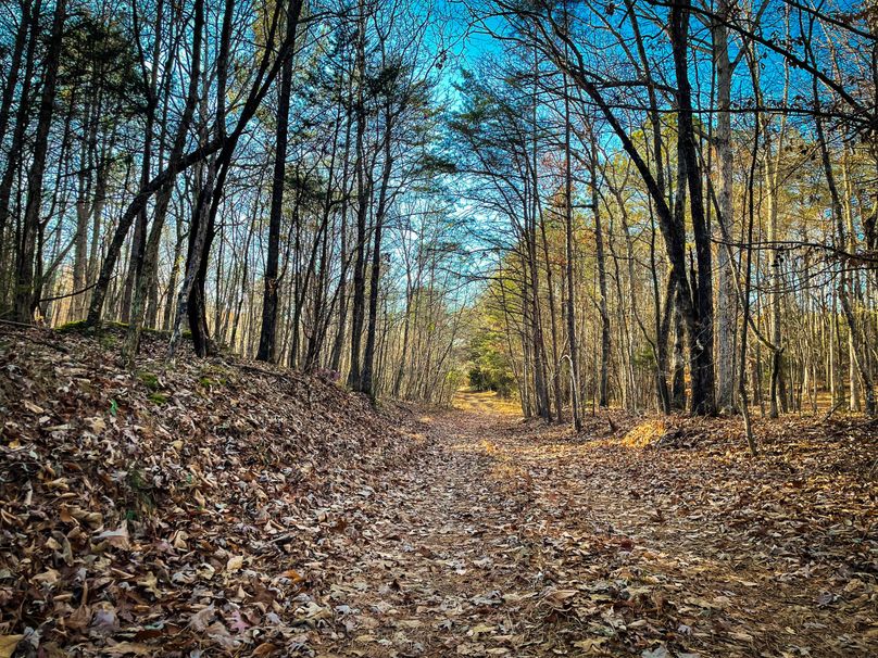 C933C4F0-9A4B-45A8-AA52-F833A1225DDA