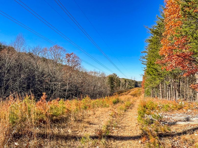 CD88CFE6-4497-4077-A247-D6931293CC83