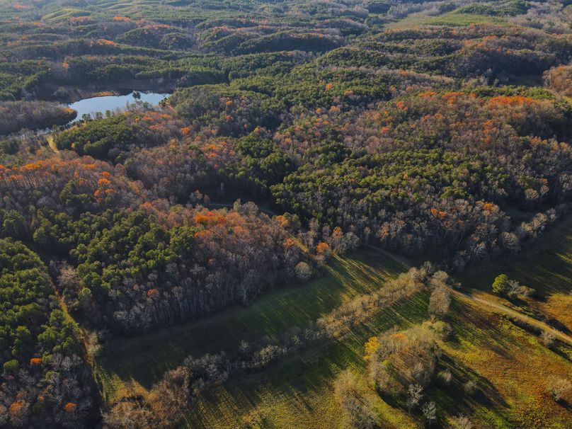 91353159-EEA4-470A-A9AD-9F2217D233B0