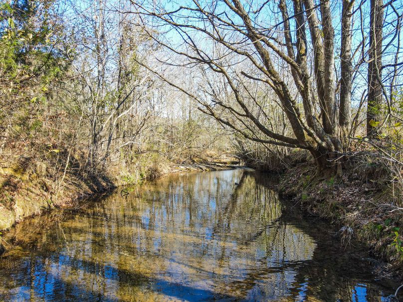 AD6479E3-3E20-4EC3-8E13-23497EC79EF4