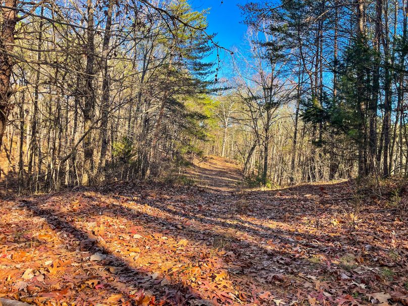 BF93ABF-2AB5-4026-9E07-D84290F07BFC