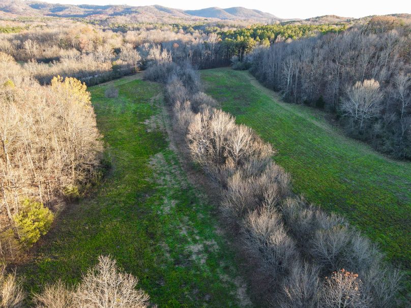 EE2ED37-10EF-4C67-A9A8-831C1C13ED54