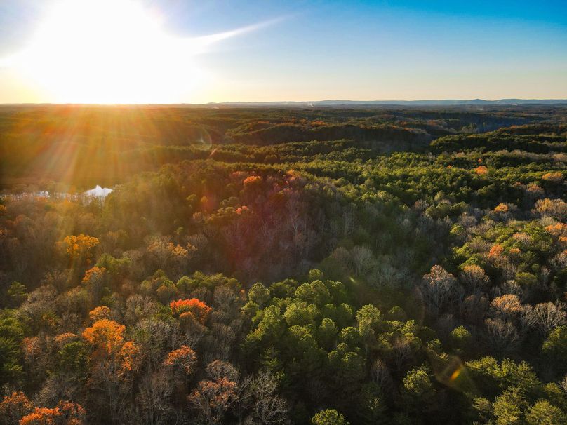 A7A934FA-29B8-4A33-8D39-BB3450B80E81