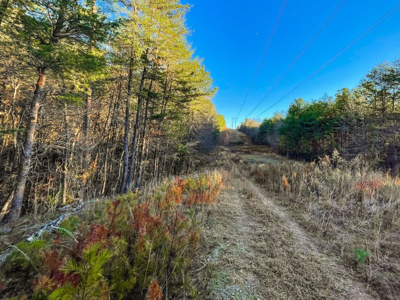 799405CD-52AD-40B9-BE7D-D6BB2438BE12