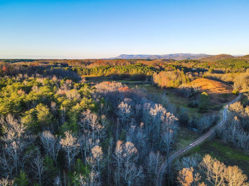 72A1494F-7460-4E64-BFFC-6B4B6D20878C