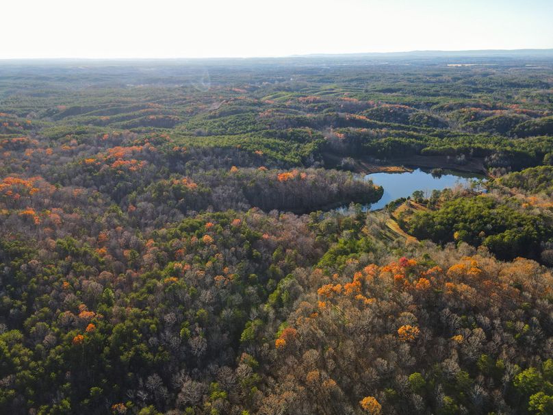 32E1BFE1-2DA7-4C9C-B098-D32991A4EB52