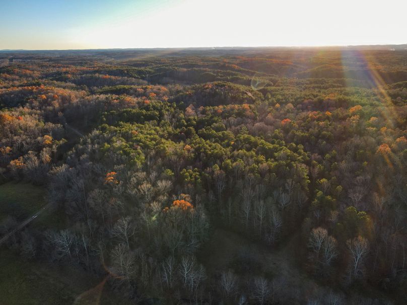 B6A50C0C-0619-4F4E-A762-B7636757410C