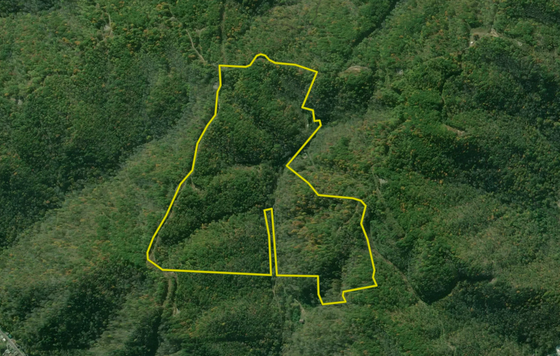 Screen Shot 2022-11-28 at 4.27.47 PM