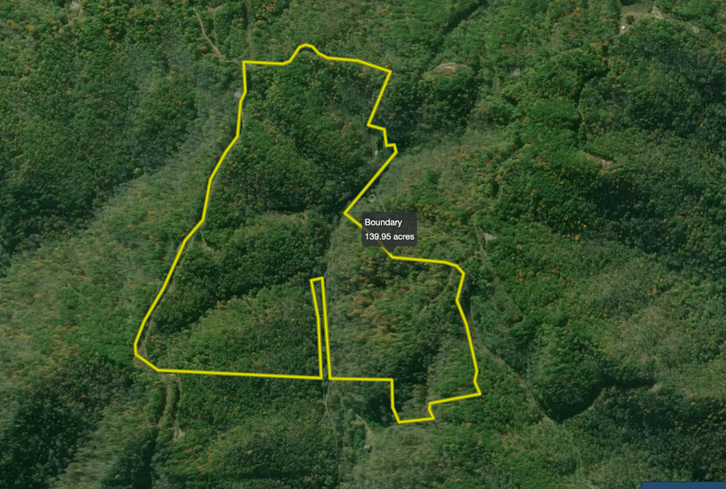 Screen Shot 2022-11-28 at 4.32.12 PM