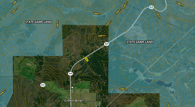 Screen Shot 2022-11-25 at 10.53.18 AM