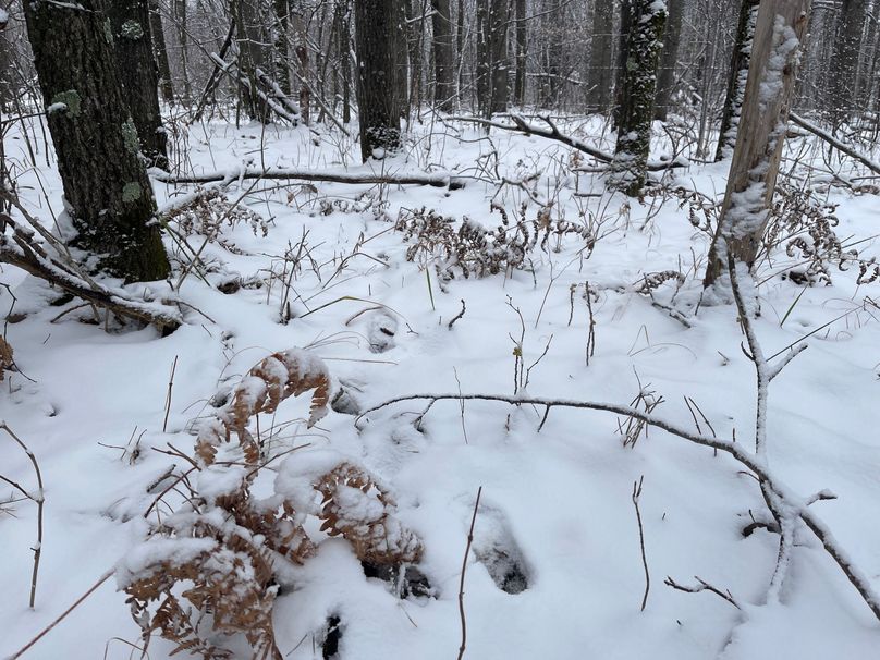 Burnett10Johnson2-003