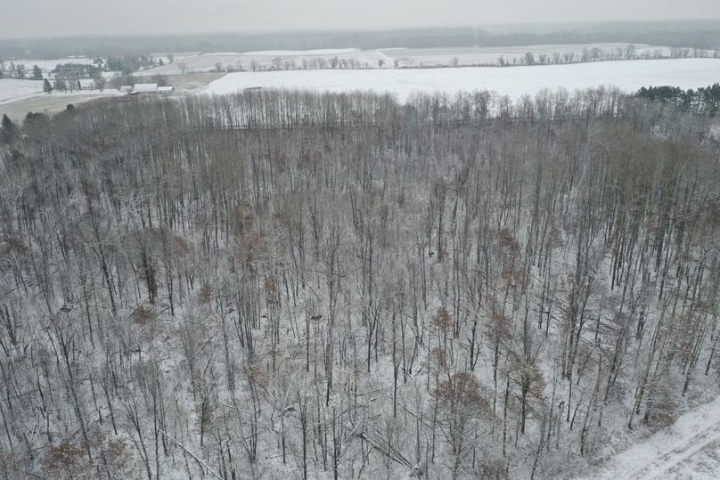 Burnett10Johnson2-009