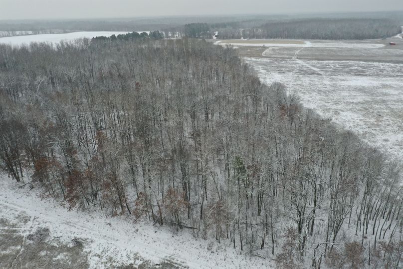 Burnett10Johnson2-011