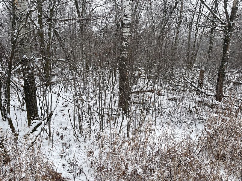 Burnett10Johnson2-005