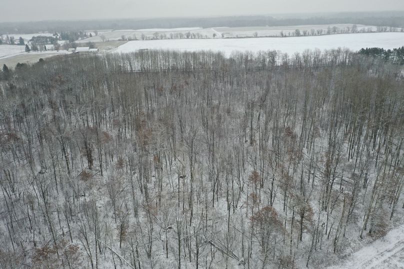 Burnett10Johnson2-010