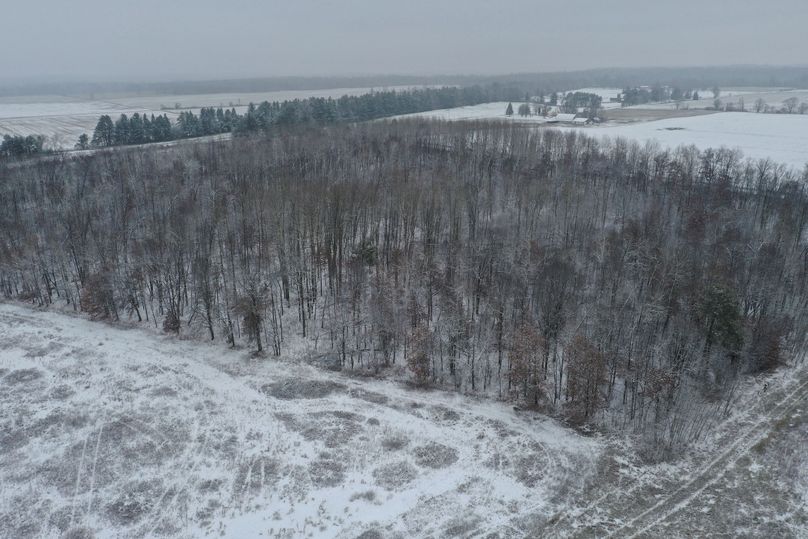 Burnett10Johnson2-008