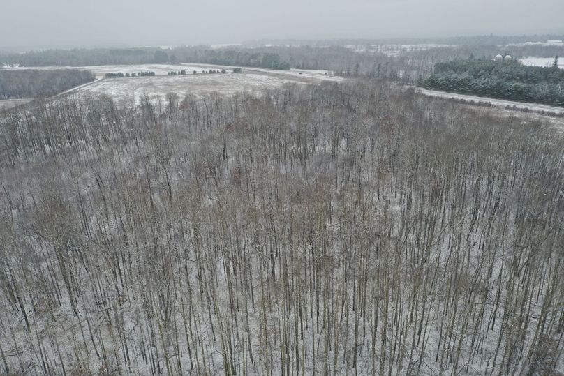 Burnett10Johnson2-007