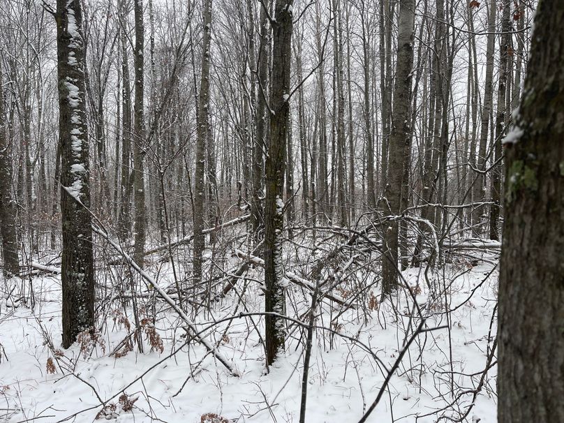 Burnett10Johnson2-001