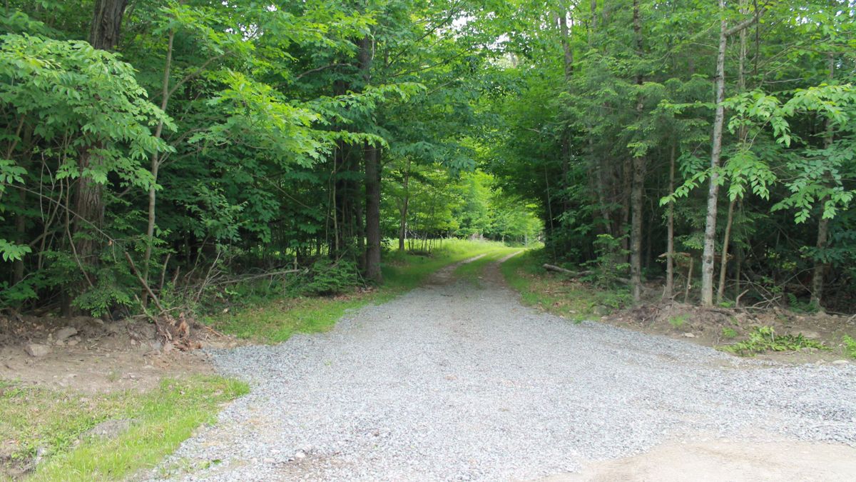 Residential Building Lot In North Central PA Whitetail Properties