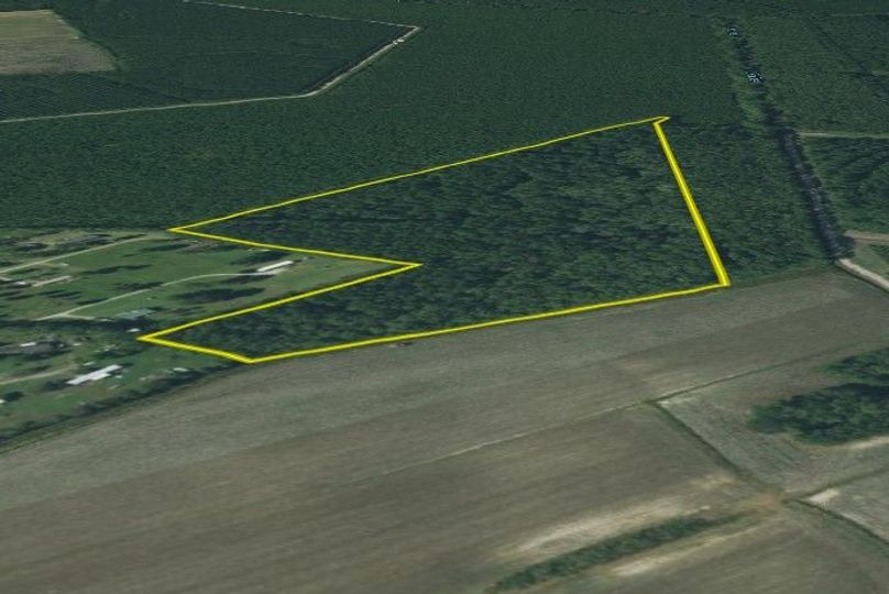 Beaufort County NC 25.37 - Adams Laydown