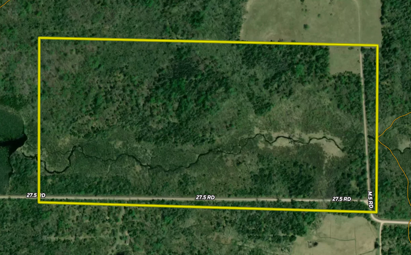 Screen Shot 2022-11-30 at 7.40.55 AM