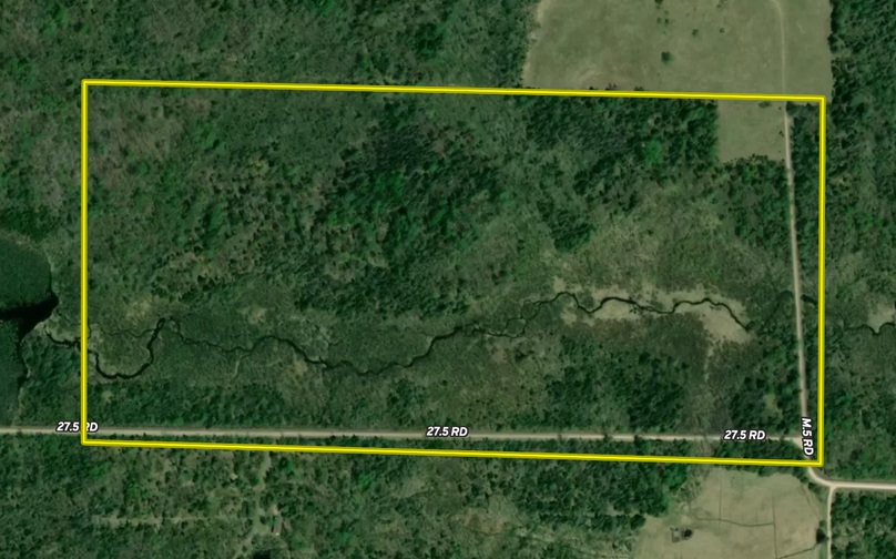 Screen Shot 2022-11-30 at 7.41.08 AM