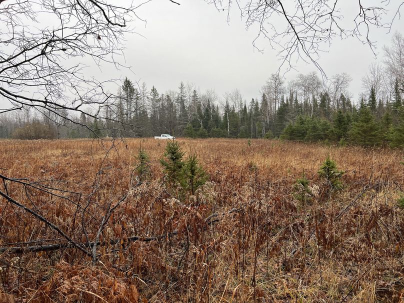 Delta_MI_83.9_Williams-24