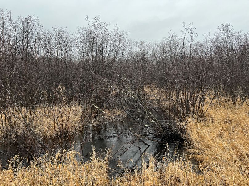 Delta_MI_83.9_Williams-05